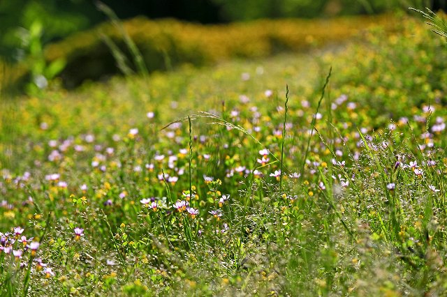 a0242438_1814139.jpg