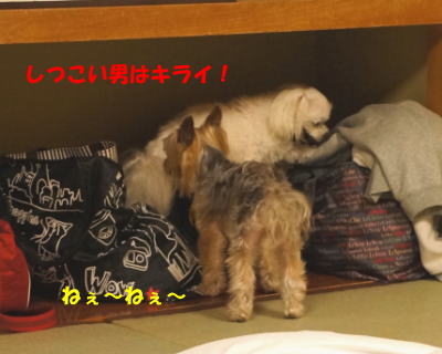 b0001440_13353891.jpg