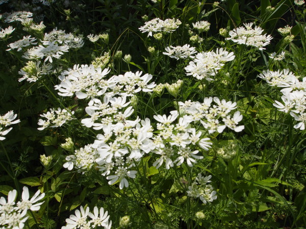 c0310543_02355356.jpg