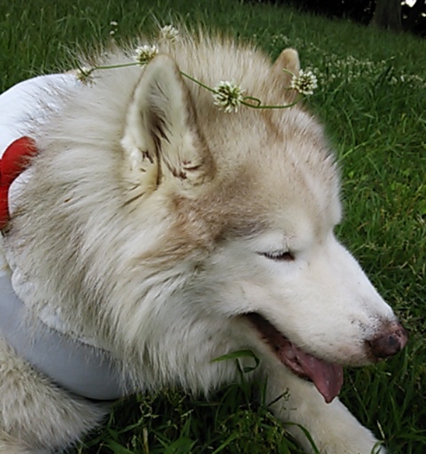 e0121548_2362020.jpg