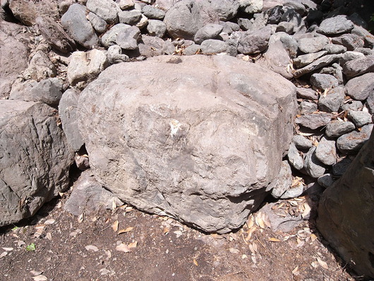 e0126548_9591199.jpg