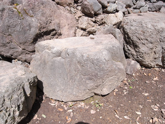 e0126548_9592532.jpg