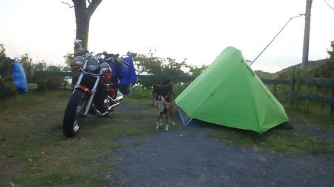 f0046250_112012.jpg