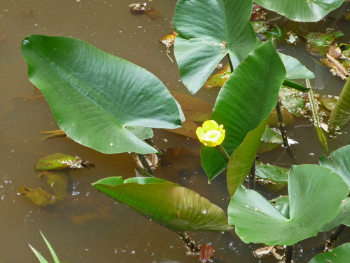 b0045357_8221752.jpg