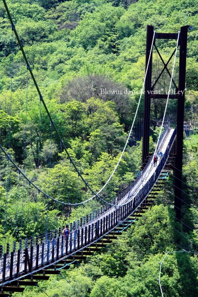 f0251765_16183078.jpg