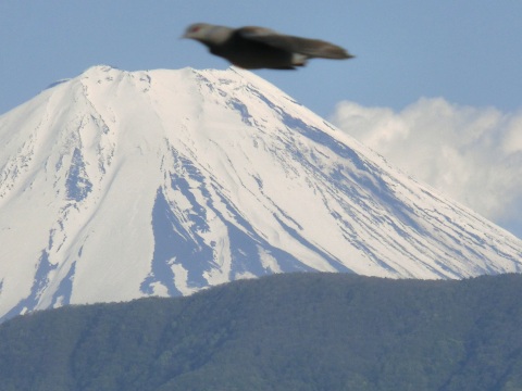 e0045768_22444136.jpg