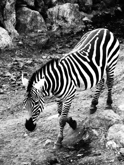 c0122670_22413771.jpg