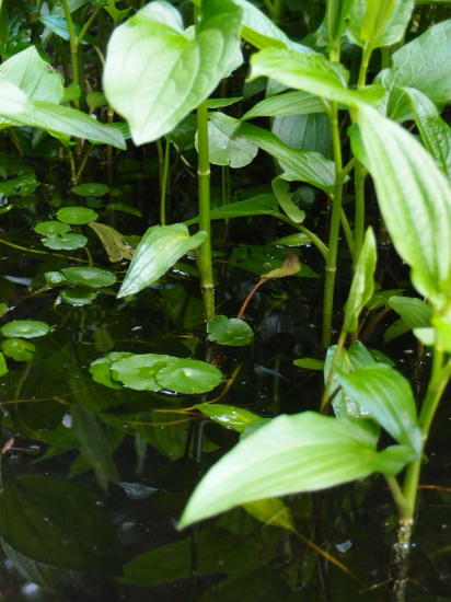 c0122670_23450424.jpg