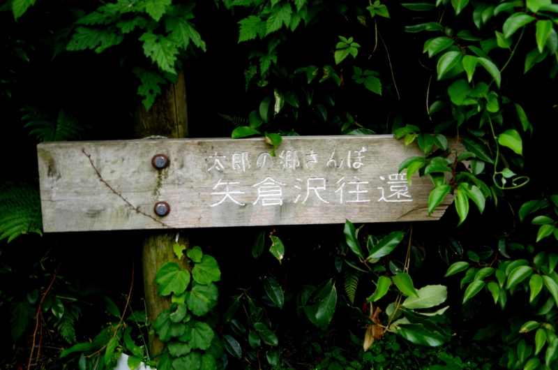 d0031171_8214651.jpg
