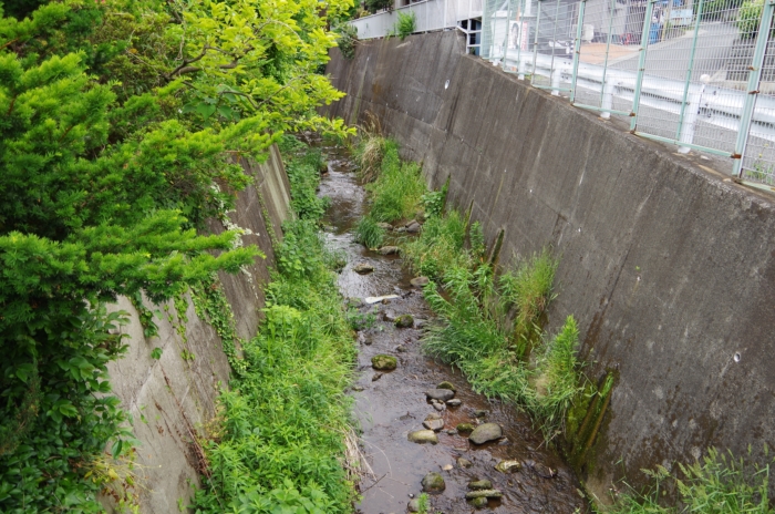 d0031171_8265741.jpg