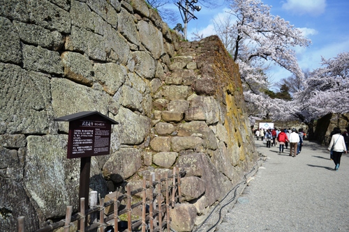 f0342371_2120730.jpg
