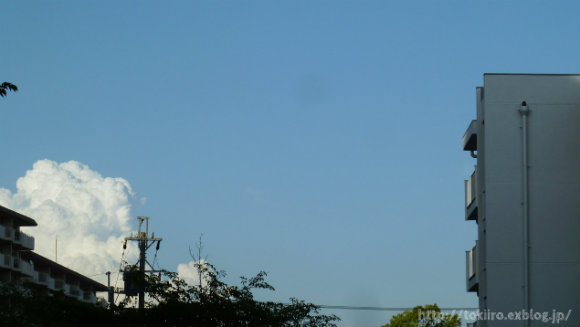 b0326576_236378.jpg