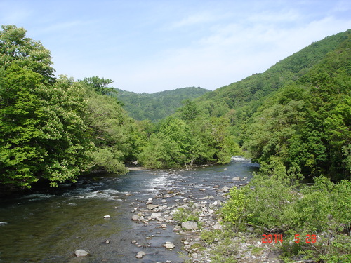 d0165378_924148.jpg