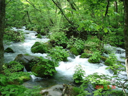 d0165378_9283780.jpg