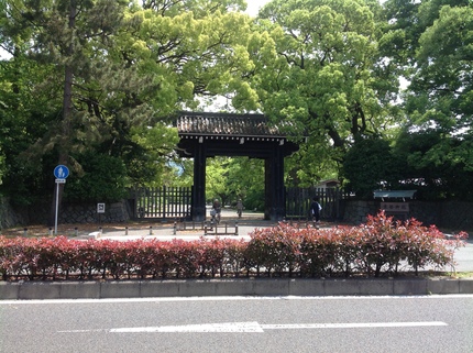 b0042882_1549353.jpg