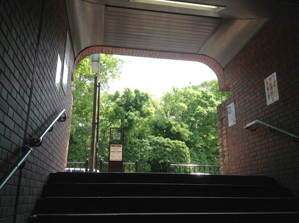 b0042882_1549958.jpg