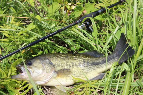 e0052088_18341688.jpg
