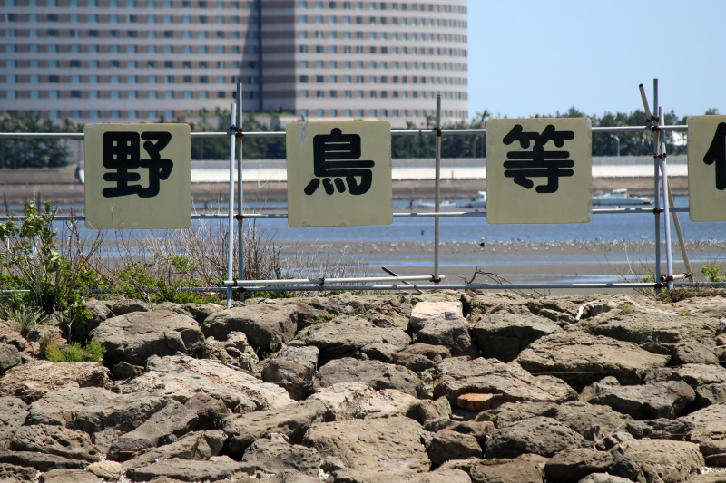 a0127090_21491637.jpg