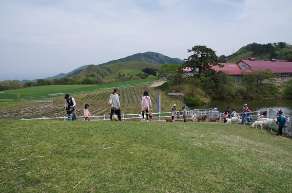 f0131491_15251216.jpg