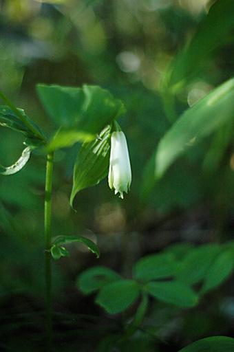 a0061599_7384580.jpg