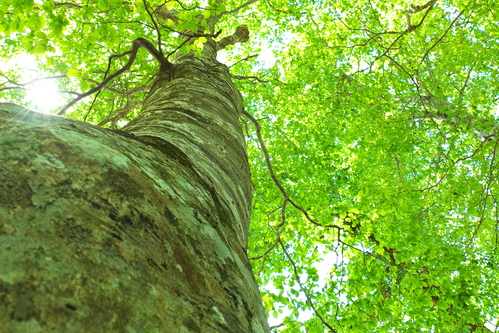 e0304001_21285675.jpg