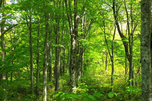 e0304001_21321817.jpg