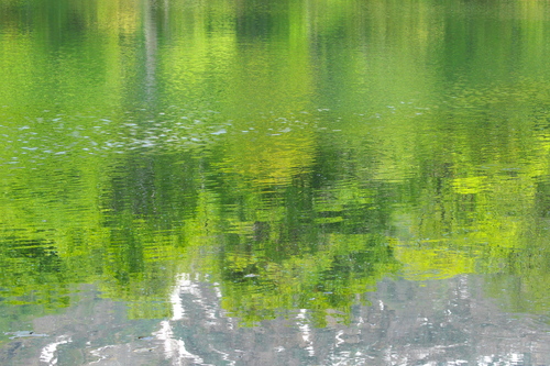 e0304001_2133927.jpg
