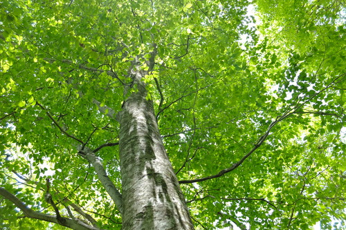 e0304001_2138177.jpg