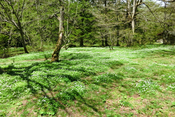 f0124601_225207.jpg