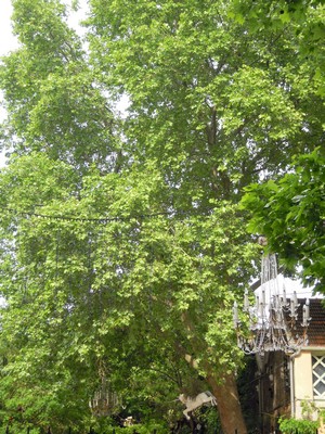 e0206902_00368.jpg