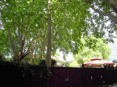 e0206902_055197.jpg