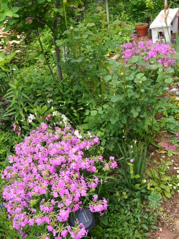 c0117007_21593632.jpg