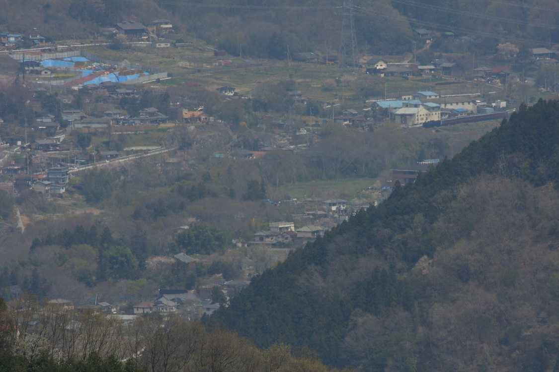 b0190710_6564141.jpg