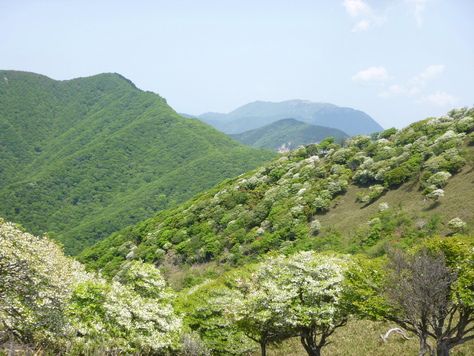 d0170615_2110472.jpg