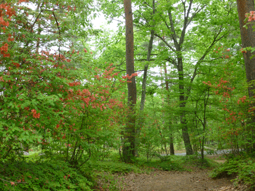e0312121_2117449.gif
