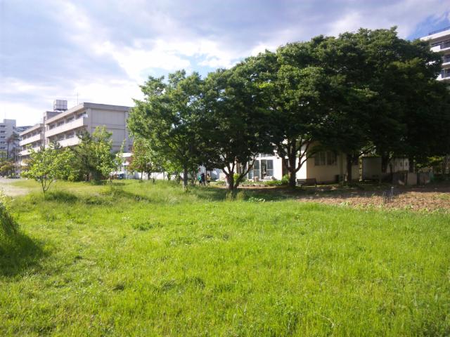 c0236527_8105291.jpg