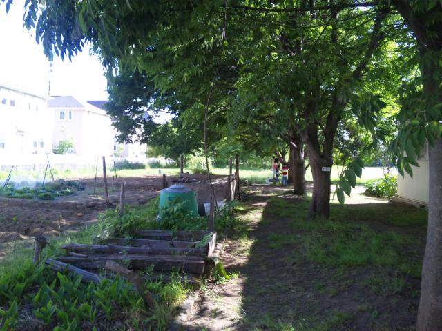 c0236527_81173.jpg