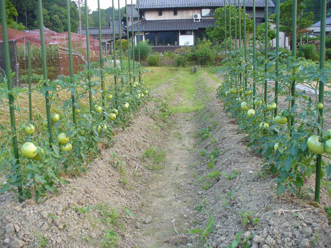 f0346527_2247781.jpg