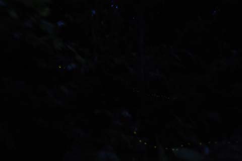 f0014842_18121019.jpg