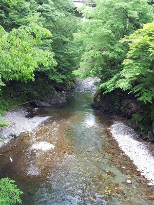 f0065542_20323085.jpg