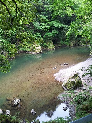 f0065542_20324857.jpg