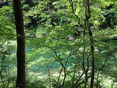 f0065542_2124579.jpg