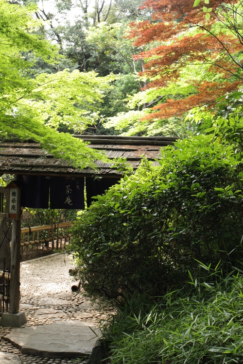 c0209845_16585214.jpg