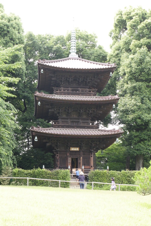 c0209845_1775169.jpg
