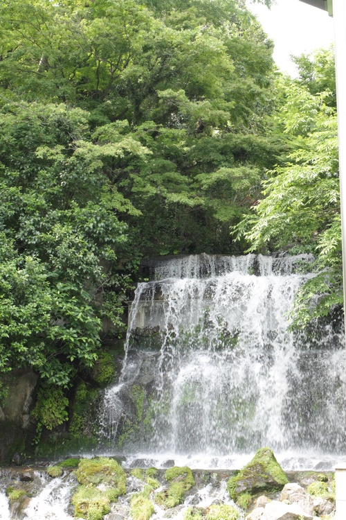 c0209845_1782571.jpg