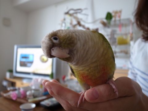 f0149057_0335721.jpg