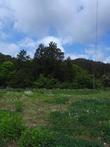 c0166668_1821913.jpg