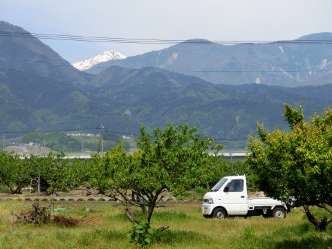 e0045768_2254394.jpg