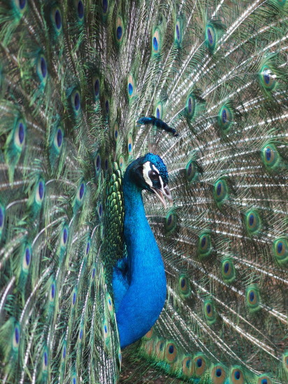 c0122670_00123016.jpg