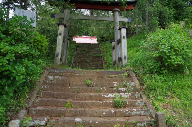 d0031171_8124656.jpg